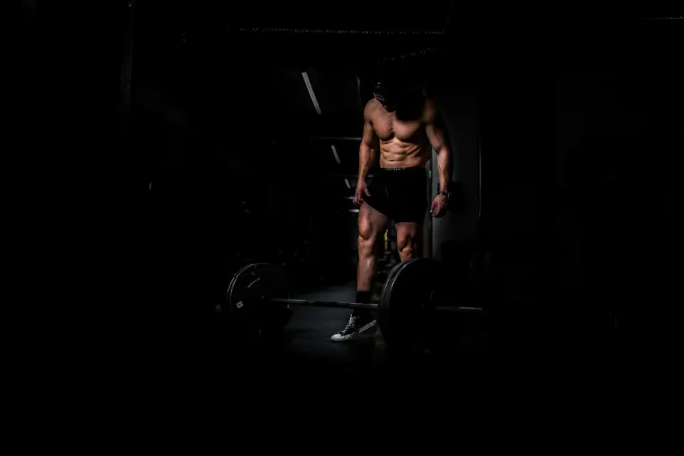 PLATINUM Wellness & Fitness venue photo